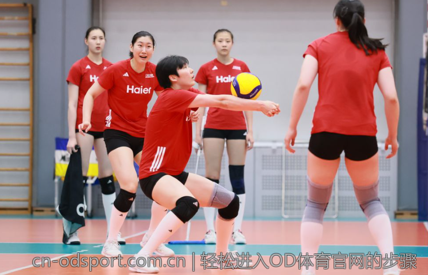 轻松进入OD体育官网的步骤